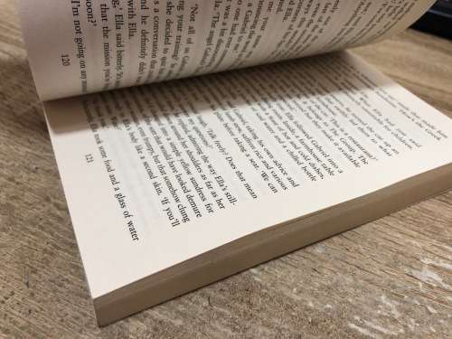 The Phoenix by Sidney Sheldon Book
