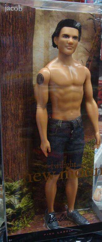 Twilight New Moon Jacob