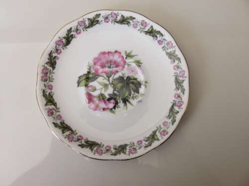 Royal Albert Cotswold Saucer