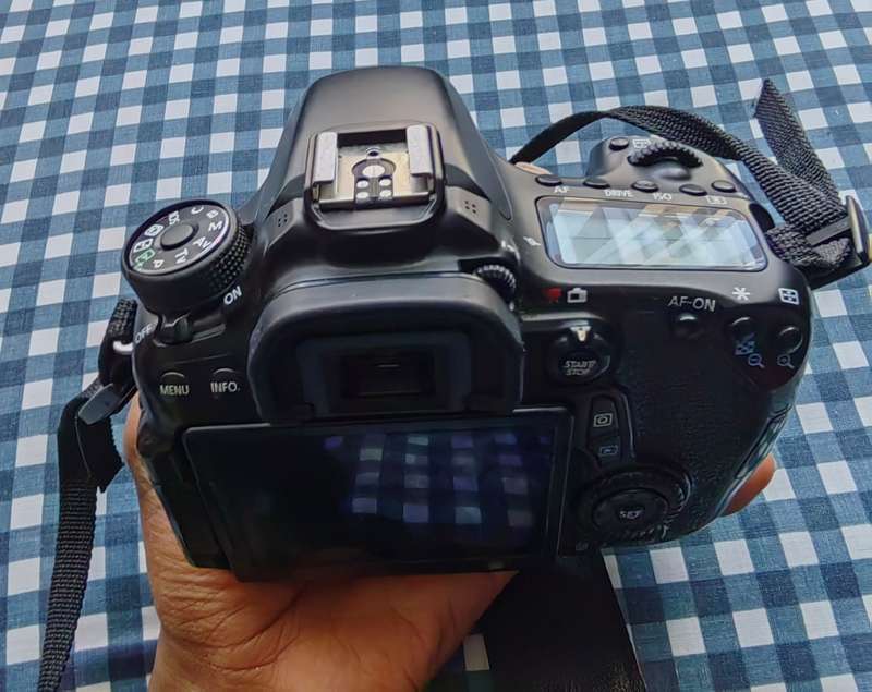 Canon 70d with original Canon battery + body strap