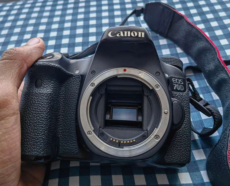 Canon 70d with original Canon battery + body strap