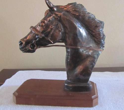 Horse Head Bust on Wooden Stand - Very Heavy