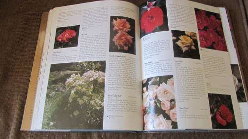 The World of Roses - Stirling Macoboy