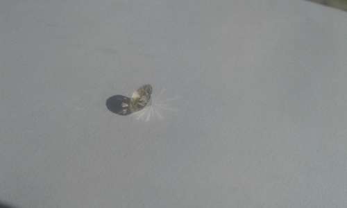 HUGE 1.02ct STUNNING SPARKLING VS2 NATURAL DIAMOND...IGL CERTIFIED.