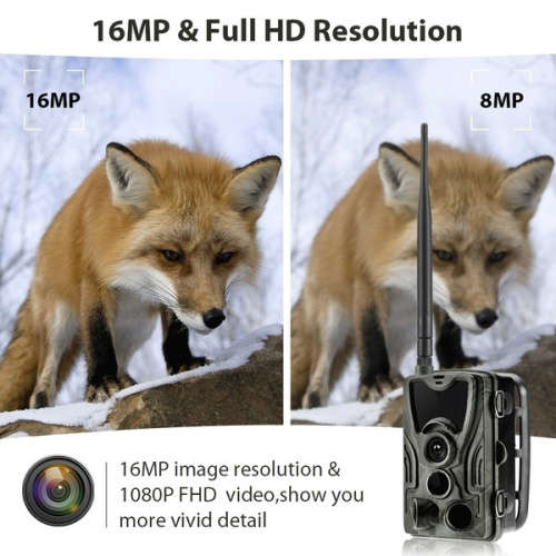 Hunting Camera (LAST ONE IN STOCK GOING FOR A GIVE AWAY PRICE)