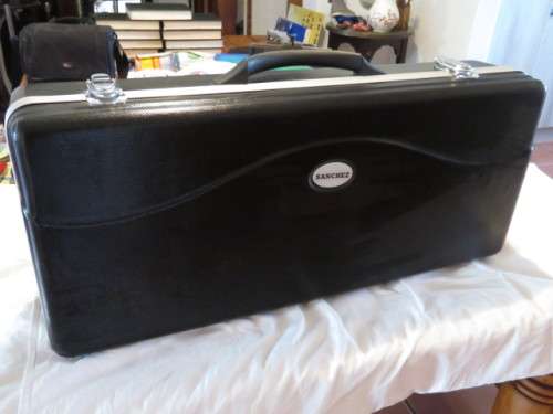 STUNNING SANCHEZ SAXOPHONE CASE