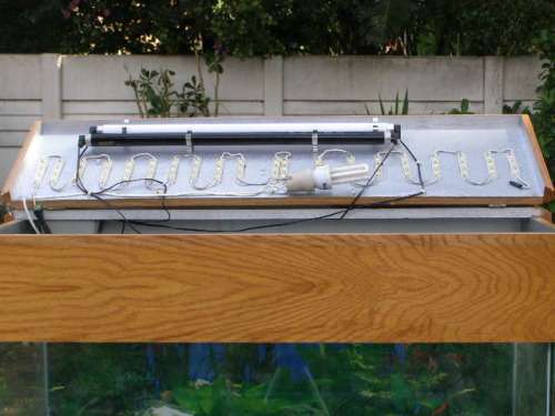 Wow! Stunning Humungous Fish Tank - Fantastic Gift