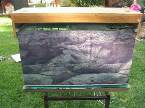 Wow! Stunning Humungous Fish Tank - Fantastic Gift