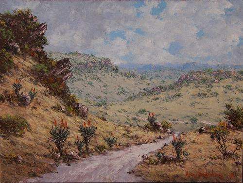 HENRY BREDENKAMP***CLEARANCE SALE!**