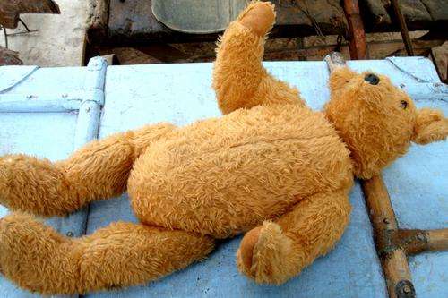 Very  Old Teddy Bear.