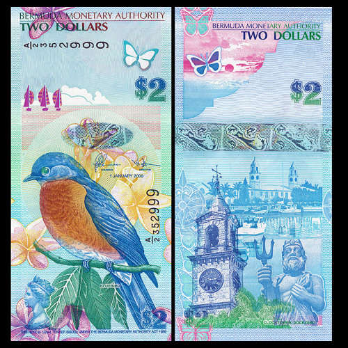 Bermuda 2 $ 2009 P-57b