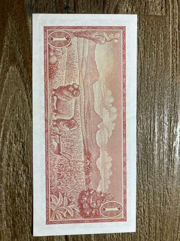 TW de Jongh  * R1 * 1972 first issue * REPLACEMENT NOTE Z17 excellent condition and collectable