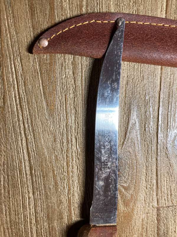 fish fillet  with leather sheath