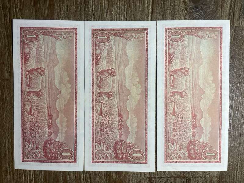 TW de Jongh  ***  R1  ***  1975 third issue  ***  3 notes not in sequence