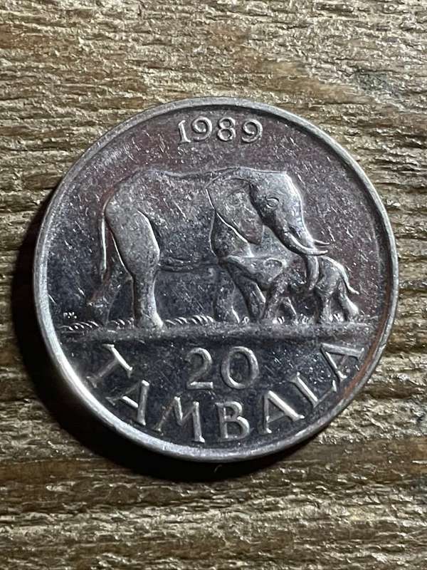 1989 *** Malawi 20 Tambala *** au, great details