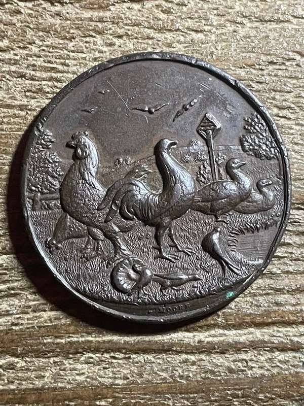 Token *** SA poultry association *** 3d medal unc?