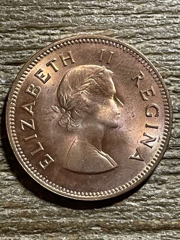 1955 *** 1/2 Penny *** Unc dealer stock