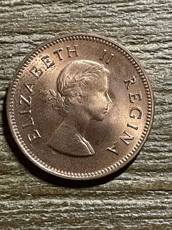 1955 *** 1/2 Penny *** Unc dealer stock