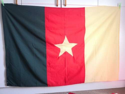 Flag Of Cameroon