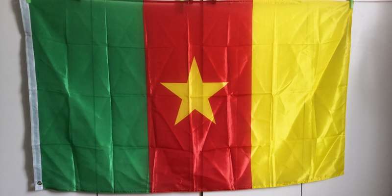 Flag Of Cameroon