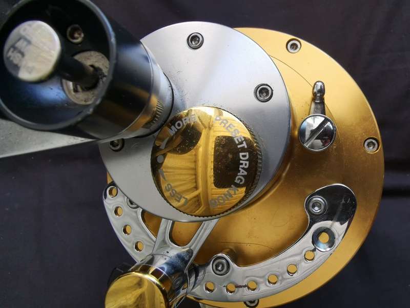 Tica Team 50 WTS 2 Speed Dual Drag Big Game fishing reel