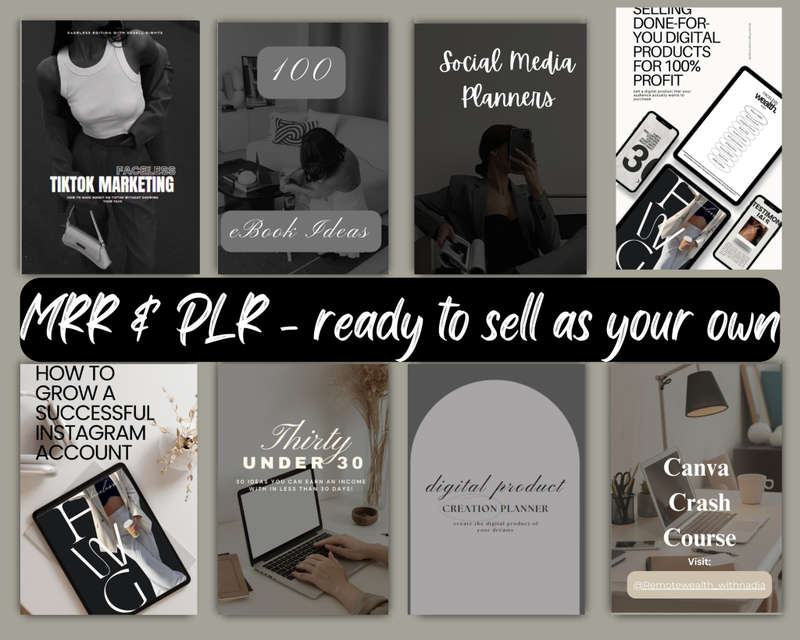 DWA - Digital Wealth Academy MRR Course with 20 Bonusses with PLR
