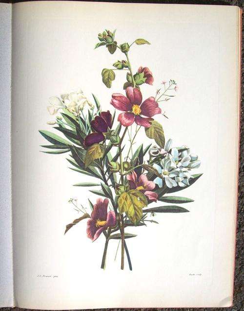 Bouquets by Jean-Louis Prevost (1960)