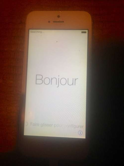 Apple Iphone. Damaged, but still working
