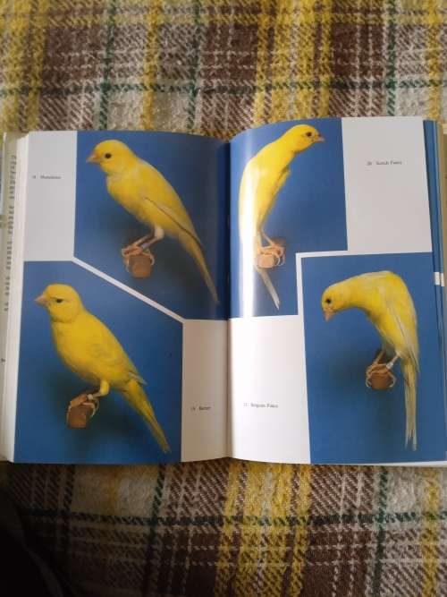Coloured, type & song canaries. A complete guide. By G.B. R. Walker & Dennis Avon