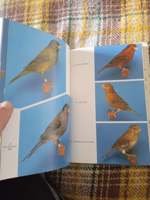 Coloured, type & song canaries. A complete guide. By G.B. R. Walker & Dennis Avon
