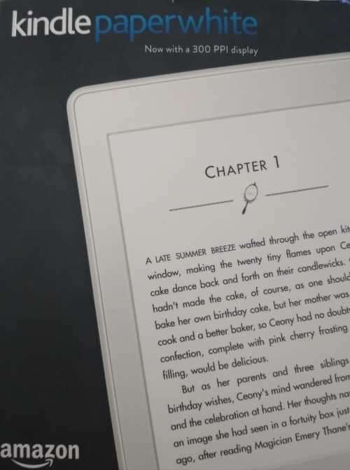 Amazon Kindle paperwhite 4GB