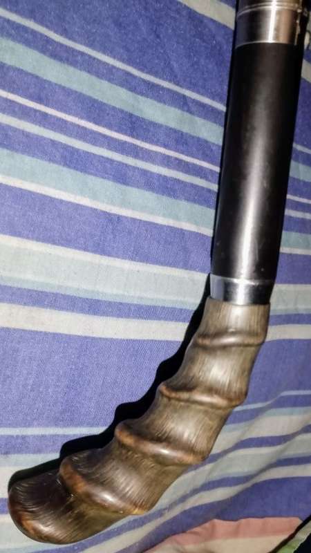 Burger Sword Cane