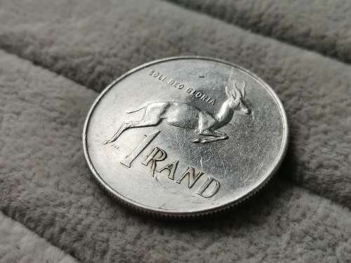 1966 Afrikaans Silver R1 (Tagged Ear)