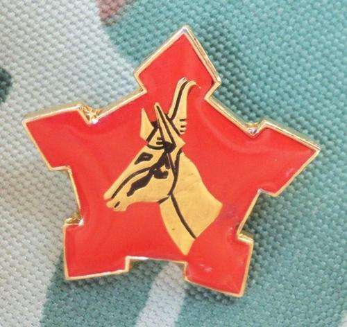 Sergeant - Major of the Army Collar Insignia - Original !!