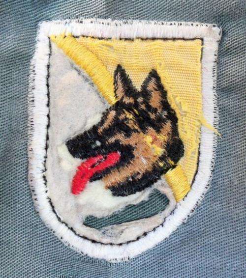 Unknown Dog Handler Sleeve Badge