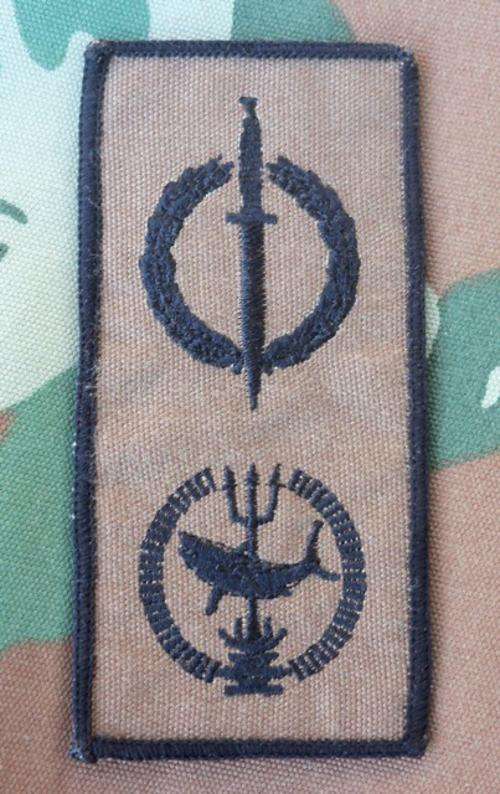 Combined Recce Operator and Attack Diver qualification - ORIGINAL - (nutria with black border)