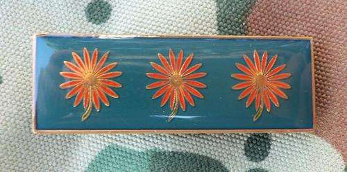 Northern Transvaal Command Formation Bar - Original !!