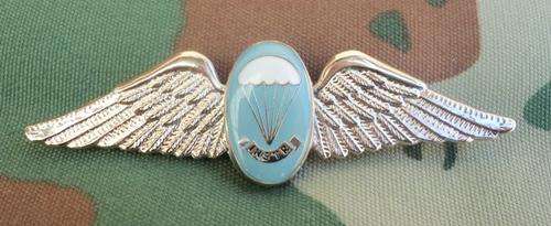 Recce/Special Forces Instructor Stitic Line Para Wing (Regular size)