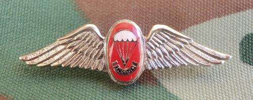 Recce/Special Forces Instructor Free Fall Para Wing (Mess Dress)
