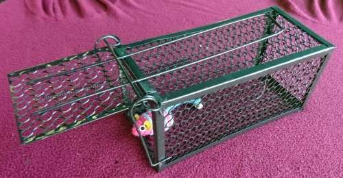 Rat/Mouse trap-Humane-Easy to activate-Suitable for one rodent-Medium size-Very Effective!!!