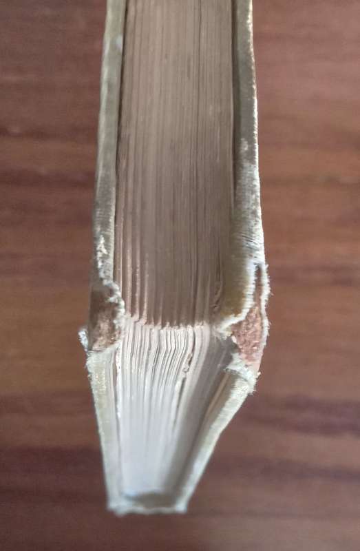Mijn Commando en Guirilla-Leven (First Edition) by DS van Warmelo