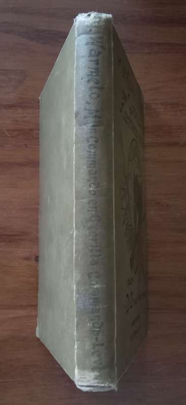 Mijn Commando en Guirilla-Leven (First Edition) by DS van Warmelo