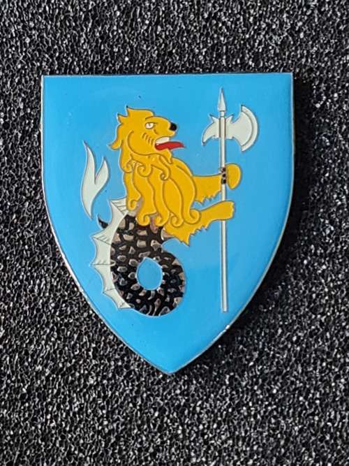 Falsebay Commando RH Shoulder Flash