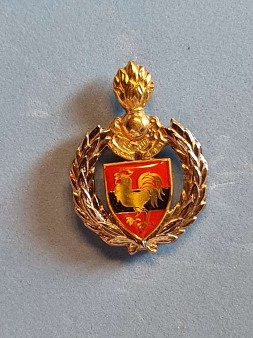 12 Field Engineer Regiment Beret/Belt Badge