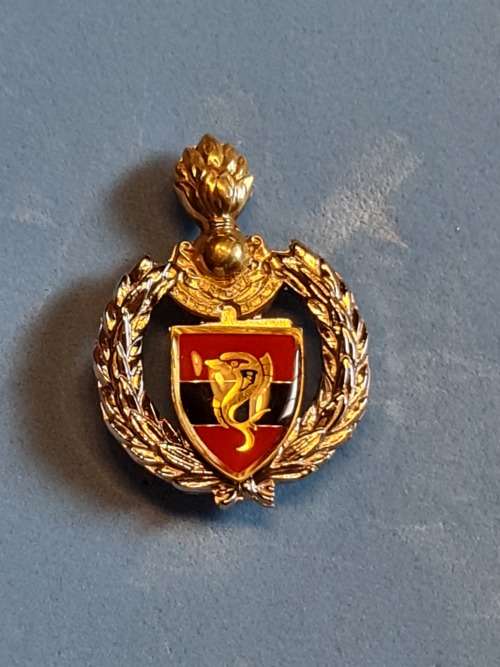 16 Engineer Regiment Beret/Belt Badge