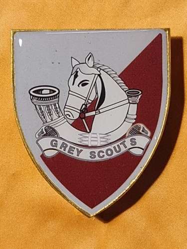 Rhodesian Bushwar Commemorative Shoulder Flash