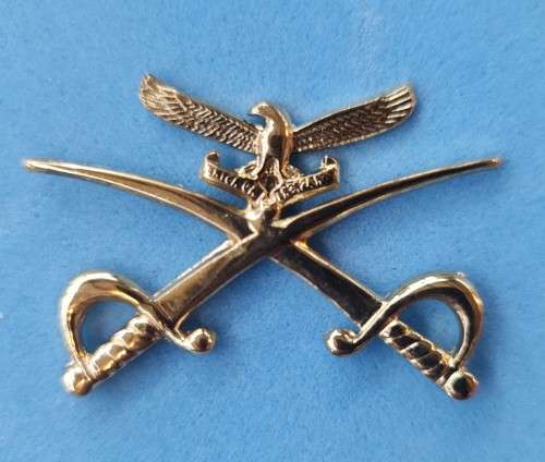 SAAF Advanced PTI Profficiency badge RH