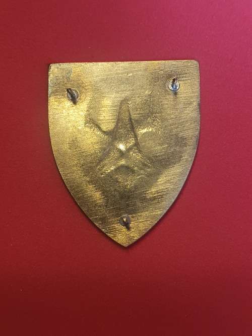 55 Battalion - Pocket Flash Commemorative