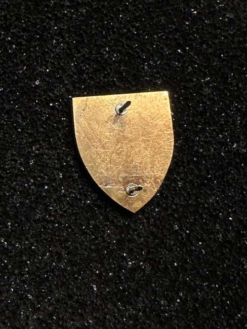 5 SAI Fob Badge