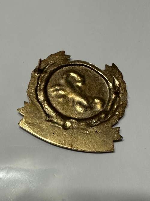 Gatsrand Commando Beret Badge